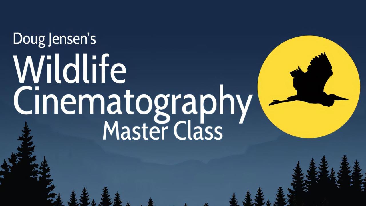 MZed Course Doug Jensen's Wildlife Cinematography Master Class